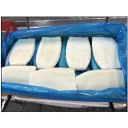 SQUID GIGAS TUBE SUPER TENDER IMP U5 5 KG # 1010300791 BLUE WAVE