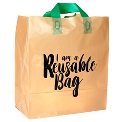 BAG MEDIUM CARRY REUSABLE 100S(10) # C-S10-36 CAPRI
