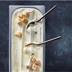 ICECREAM GINGER MEGGS 5LT # 10323407 EVEREST