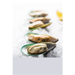 MUSSELS HALF SHELL 1KG(12) # 2052 TALLEYS