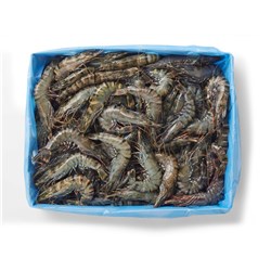 PRAWNS BLACK TIGER RAW U8 3KG # 4836301 TASSAL