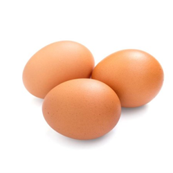 EGGS