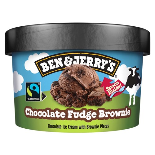 CHOC FUDGE BROW (12 X 100ML) # 64329339 BEN & JERRY