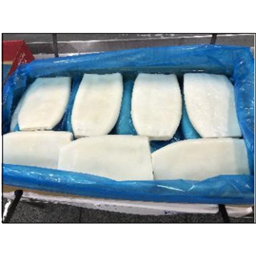 SQUID GIGAS TUBE SUPER TENDER IMP U5 5 KG # 1010300791 BLUE WAVE
