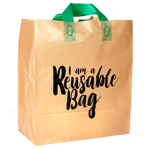 BAG MEDIUM CARRY REUSABLE 100S(10) # C-S10-36 CAPRI