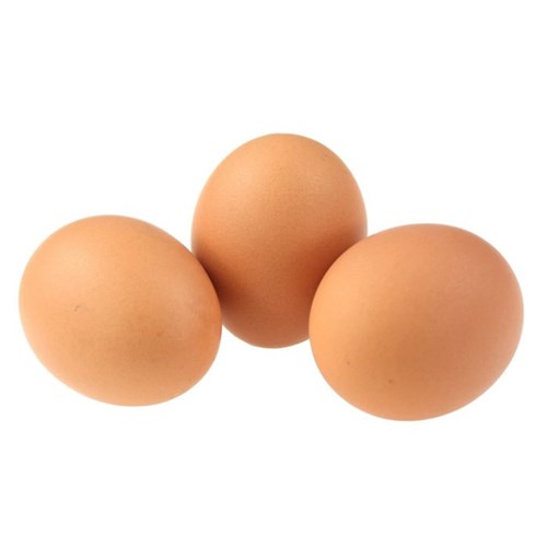 EGG CATER PACK FREE RANGE 15 DOZEN # 125020 GOLDEN EGG WEST COAST