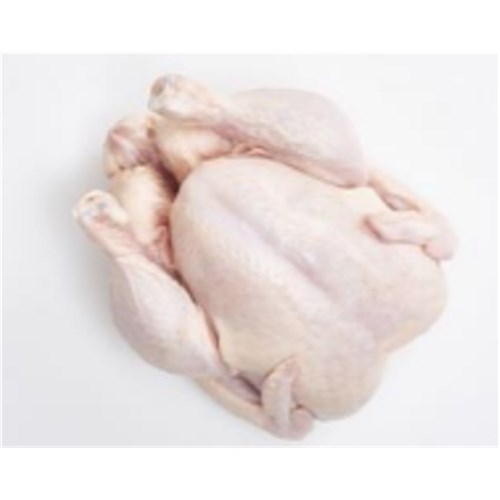 CHICKEN WHOLE #16 FRESH FREE RANGE (8 X 1.65KG) # 1155600 INGHAMS