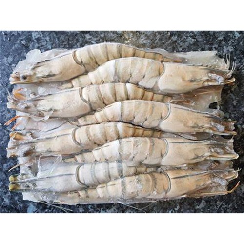 PRAWN WHOLE TIGER RAW 13/15 EX 5KG EXMOUTH #PREXTIWR1M50 MG KAILIS