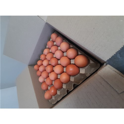 EGGS CATERERS 15 DOZEN - 600GM # CT50 KALBARRI