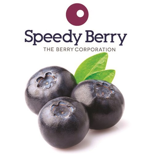 BLUEBERRIES FROZEN 1KG(10) # BLUE011 SPEEDY